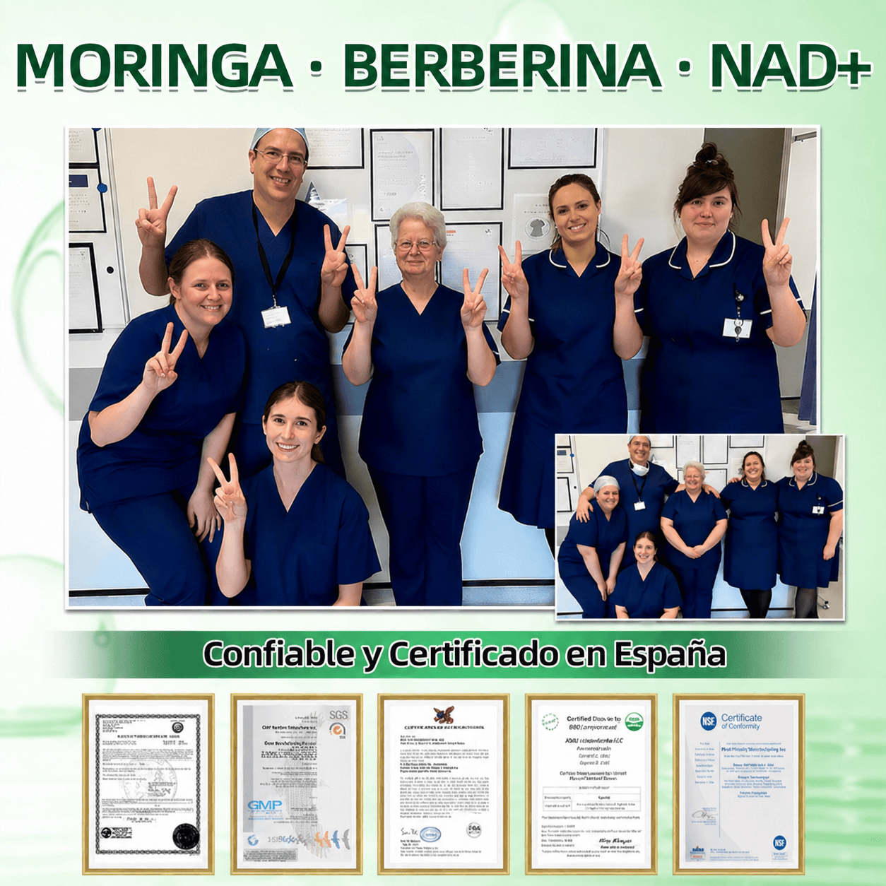 🇪🇸 Parche avanzado de microagujas con moringa, berberina y NAD+ 10 en 1