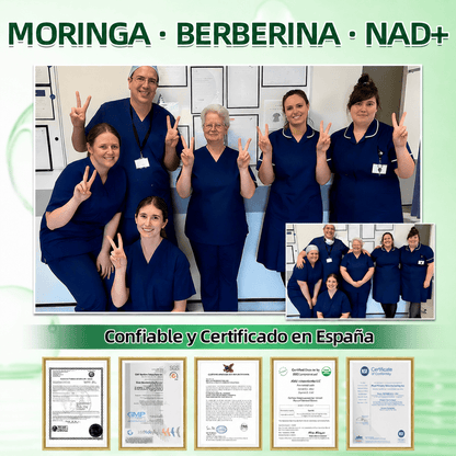 🇪🇸 Parche avanzado de microagujas con moringa, berberina y NAD+ 10 en 1